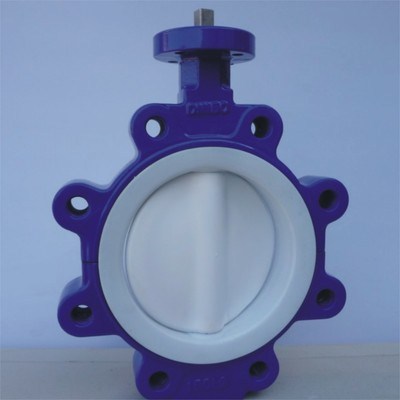 Fluorine lined butterfly valve